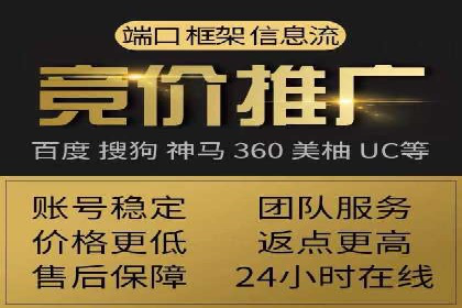 SEM推广代运营：成功案例解析与策略分享